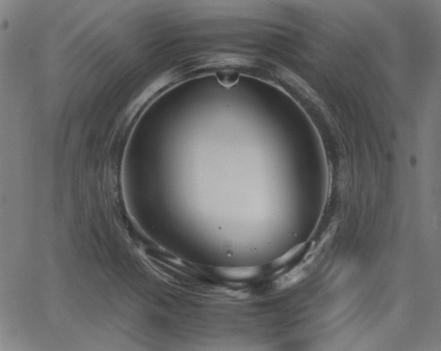 X0000064041321200601271152