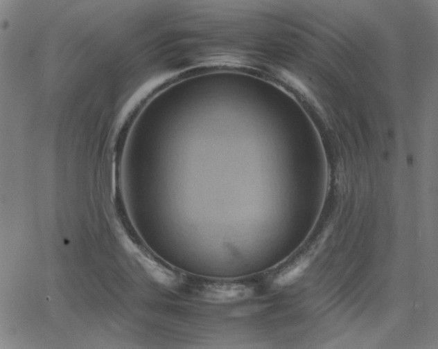 X0000064041323200601271152