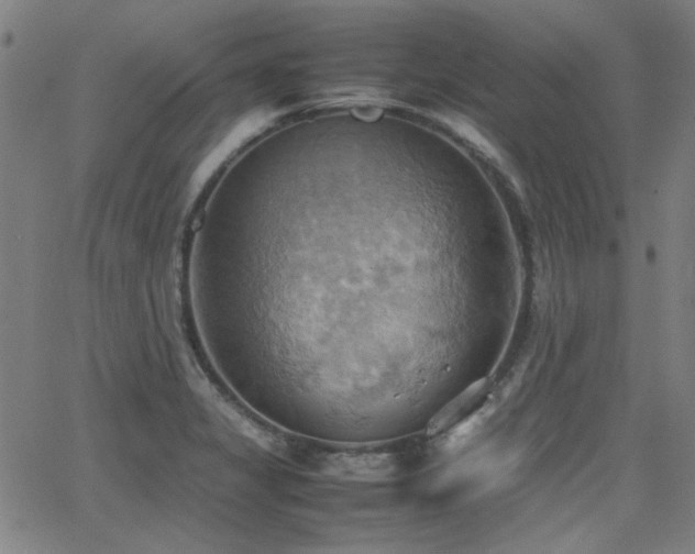 X0000064041325200601271152