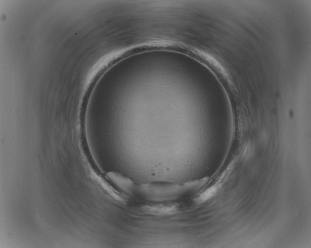 X0000064041327200601271152