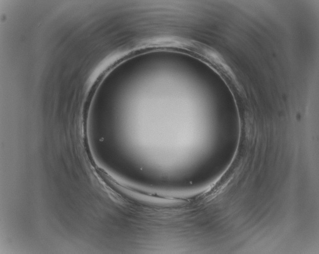 X0000064041328200601271152