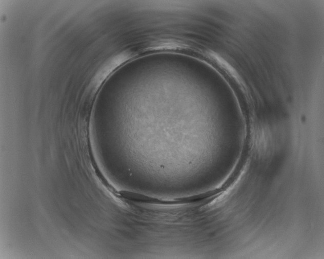 X0000064041329200601271152