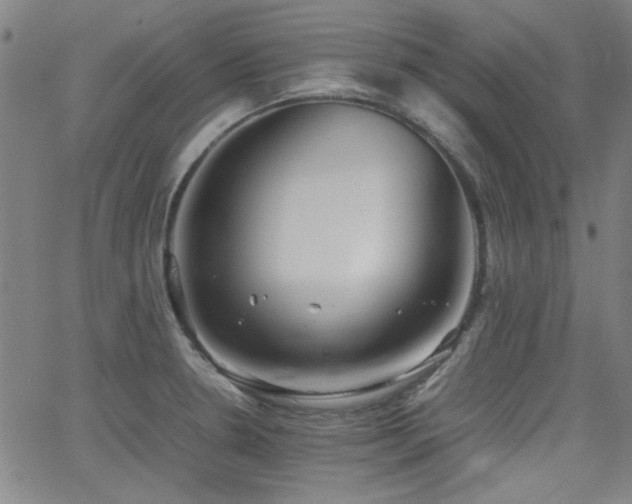 X0000064041330200601271152