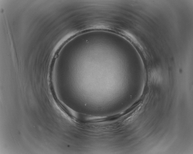 X0000064041331200601271152