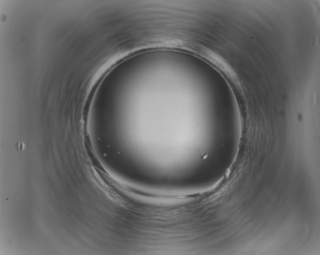 X0000064041332200601271152