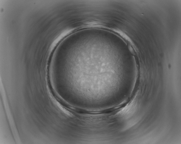 X0000064041333200601271152