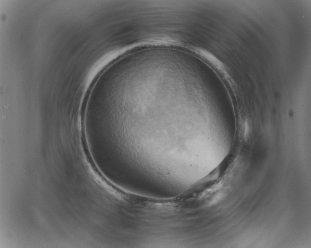 X0000064041335200601271152