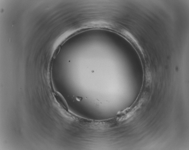 X0000064041336200601271152