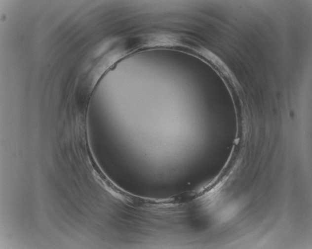 X0000064041337200601271152