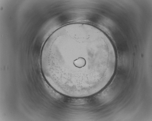 X0000064041338200601271152