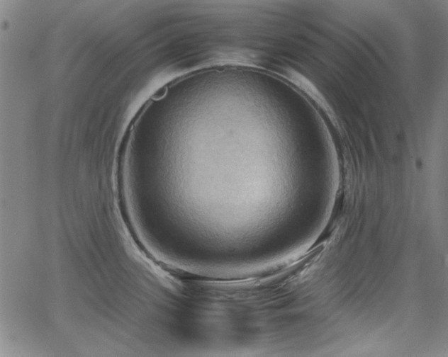 X0000064041339200601271152