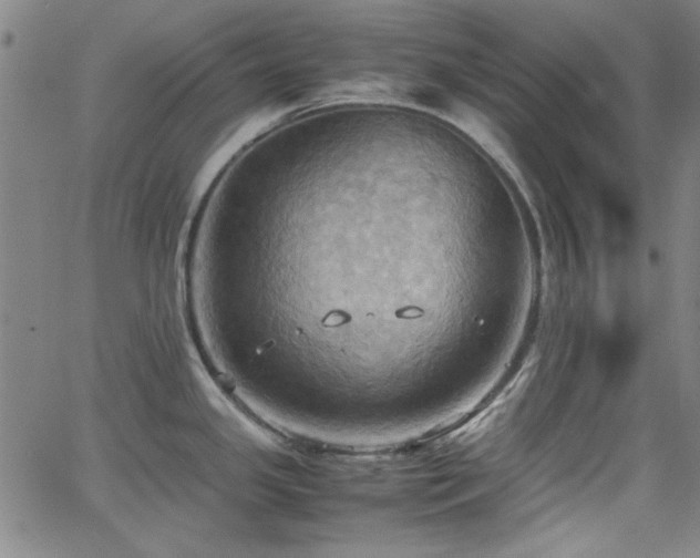 X0000064041341200601271152