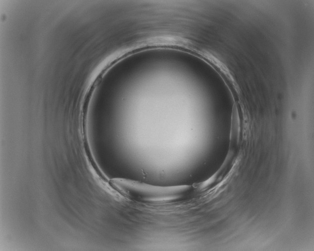 X0000064041342200601271152