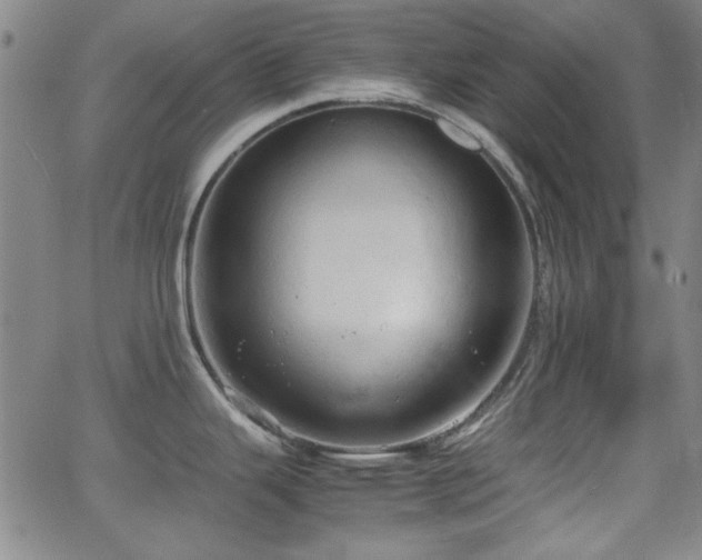 X0000064041343200601271152