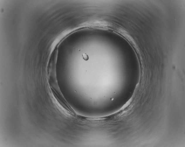 X0000064041344200601271152