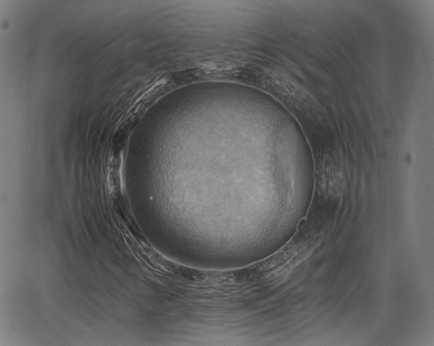 X0000064041346200601271152