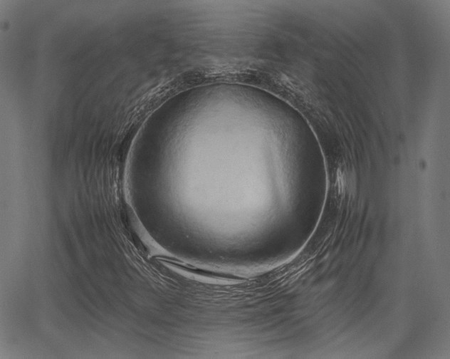 X0000064041348200601271152