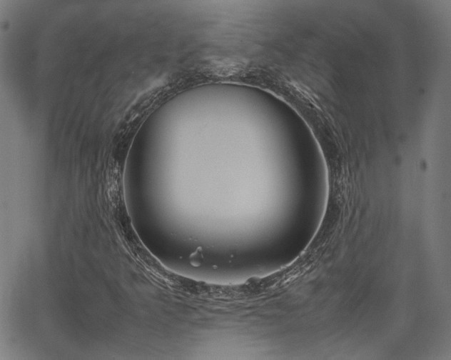 X0000064041349200601271152