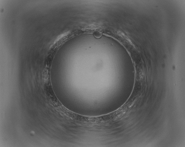 X0000064041350200601271152