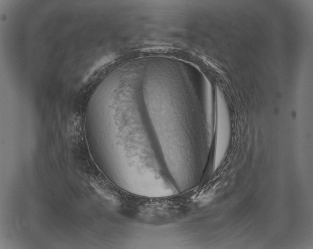 X0000064041351200601271152