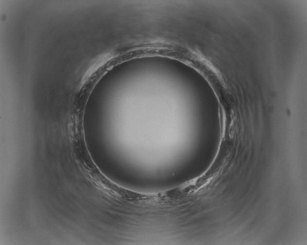 X0000064041352200601271152