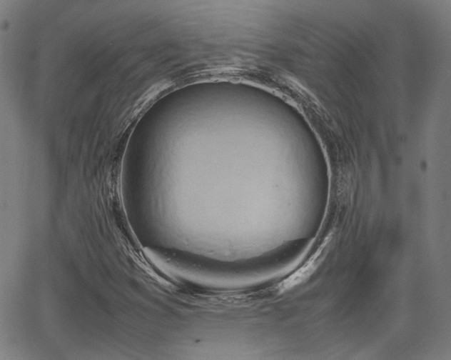 X0000064041353200601271152