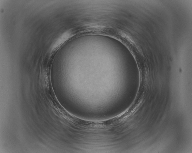 X0000064041354200601271152