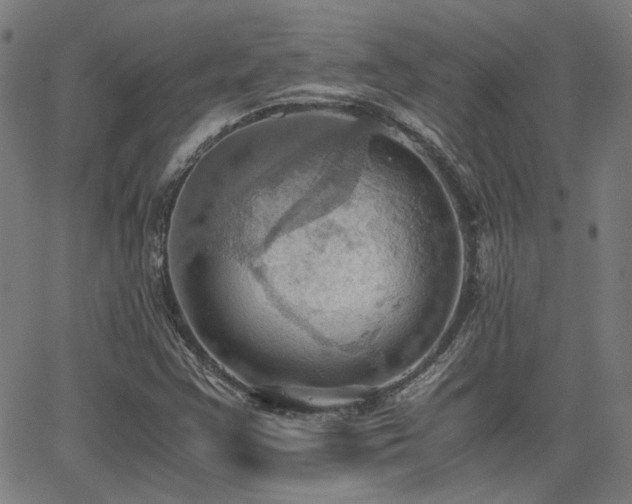 X0000064041355200601271152