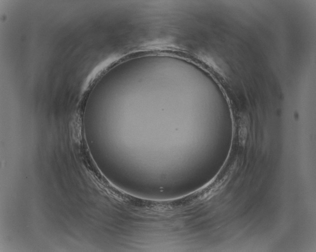 X0000064041358200601271151