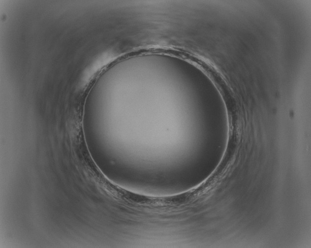 X0000064041359200601271151