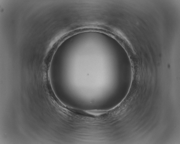 X0000064041360200601271151