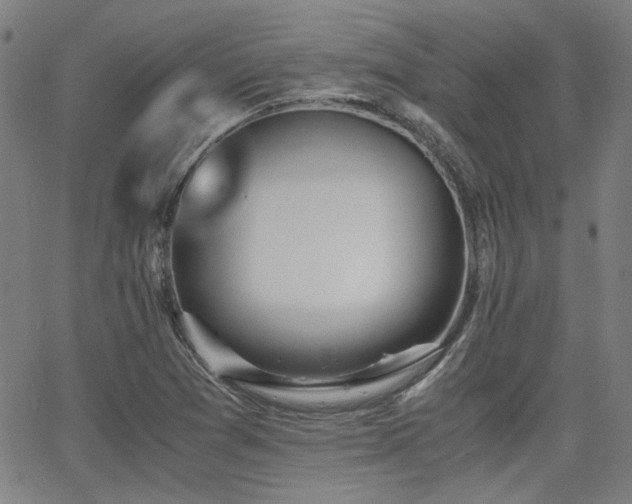 X0000064041361200601271151