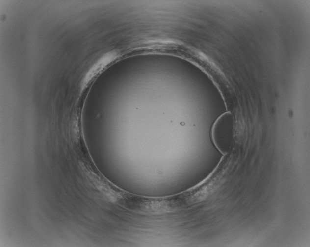 X0000064041362200601271151