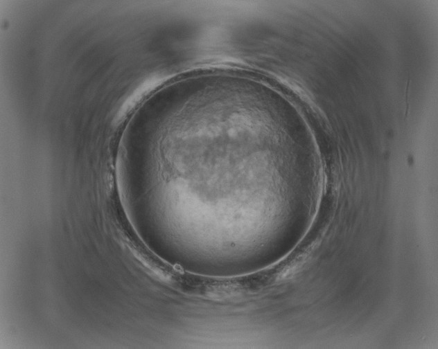 X0000064041363200601271151