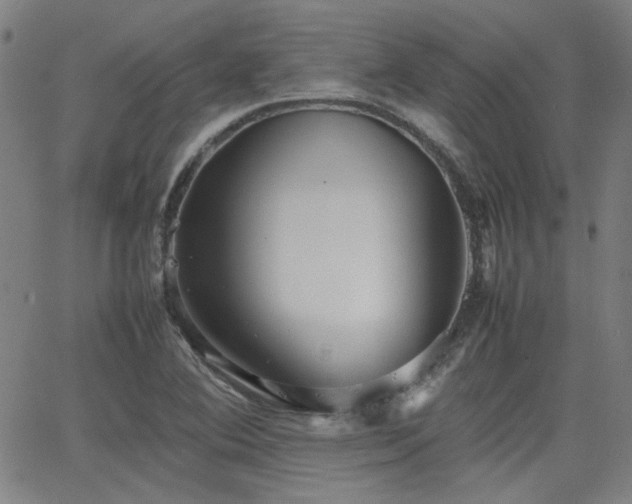 X0000064041364200601271151