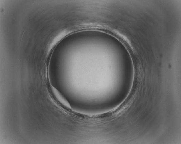 X0000064041365200601271151