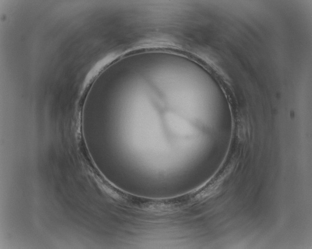 X0000064041366200601271151