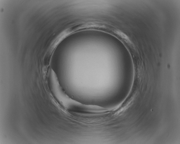 X0000064041369200601271151