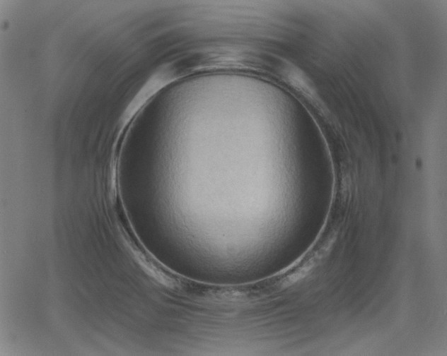 X0000064041370200601271151