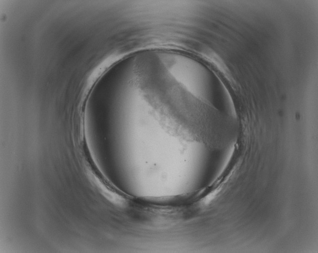 X0000064041371200601271151