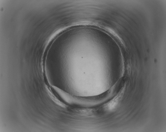 X0000064041372200601271151