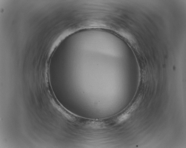 X0000064041374200601271151