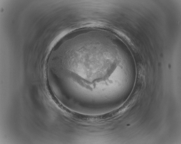 X0000064041375200601271151