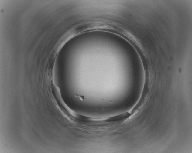 X0000064041377200601271151