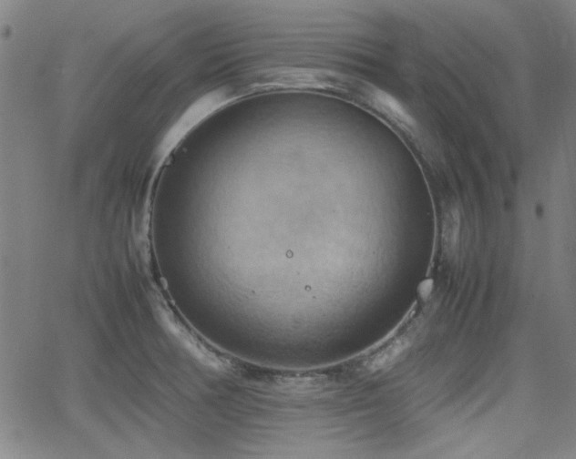 X0000064041378200601271151