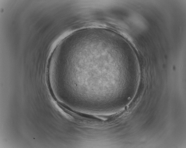 X0000064041379200601271151