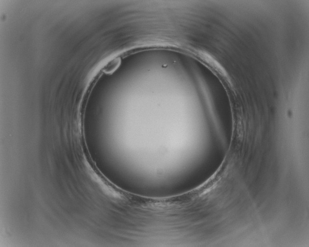 X0000064041380200601271151