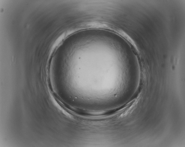 X0000064041381200601271151