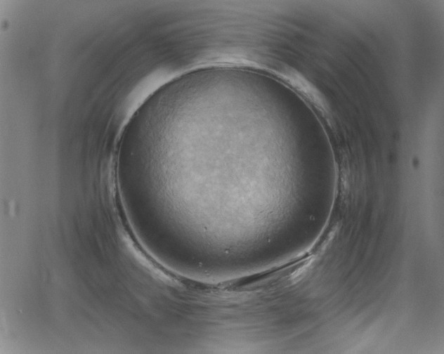 X0000064041382200601271151