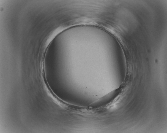 X0000064041383200601271151